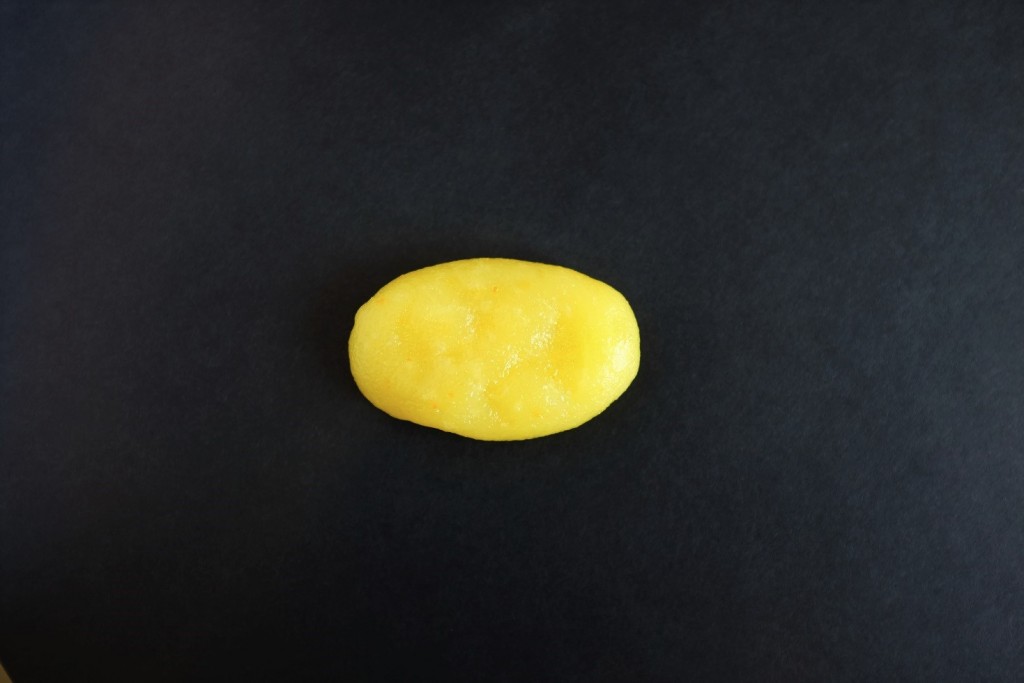 DSCF7463