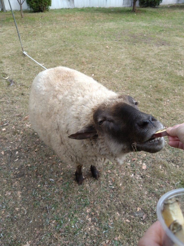 DSC_0000_BURST20251213102330311_copy_2250x3000