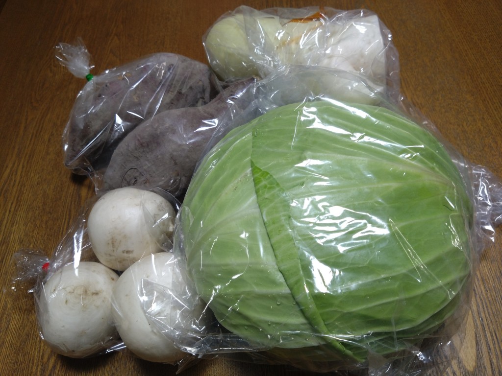 DSC_3842_copy_3000x2250