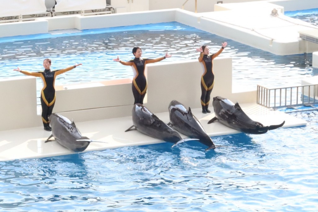 IMG_3807_copy_1215x810