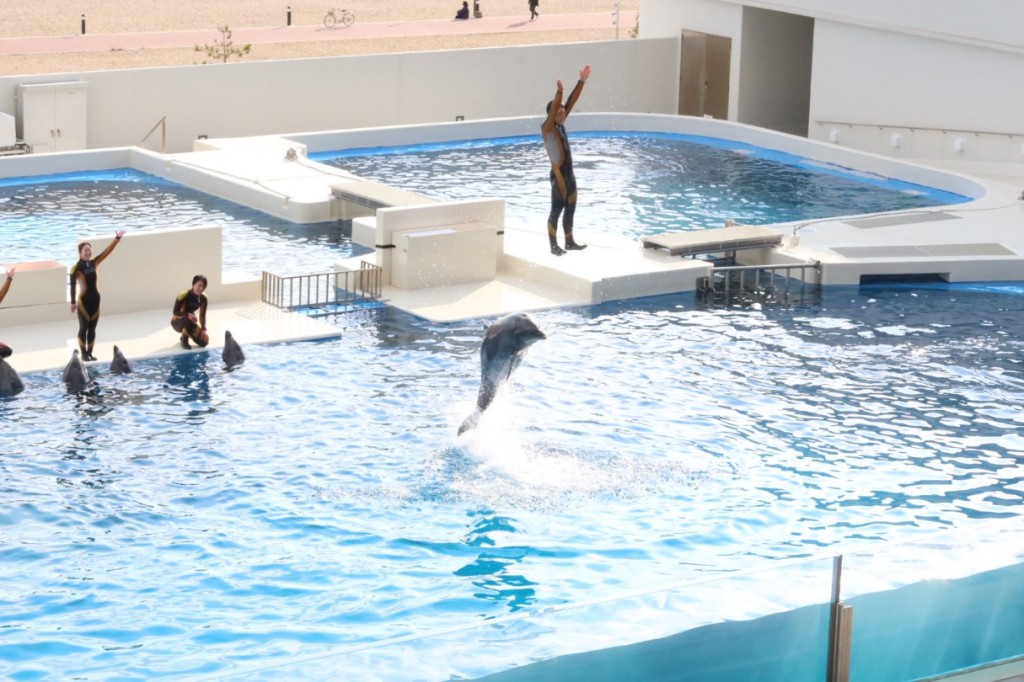 IMG_3819_copy_1215x810