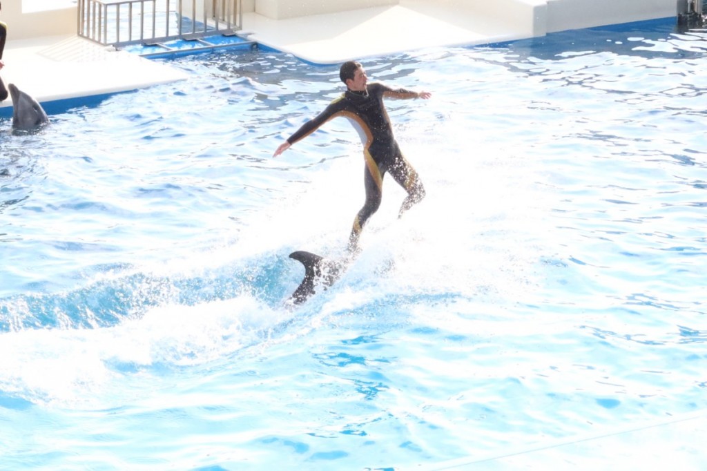 IMG_3860_copy_1215x810