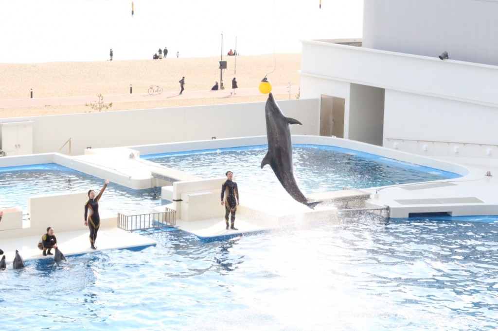 IMG_3865_copy_1215x810