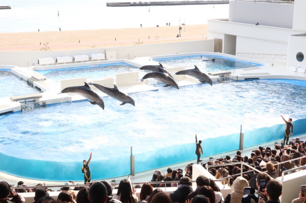 IMG_3879_copy_1215x810